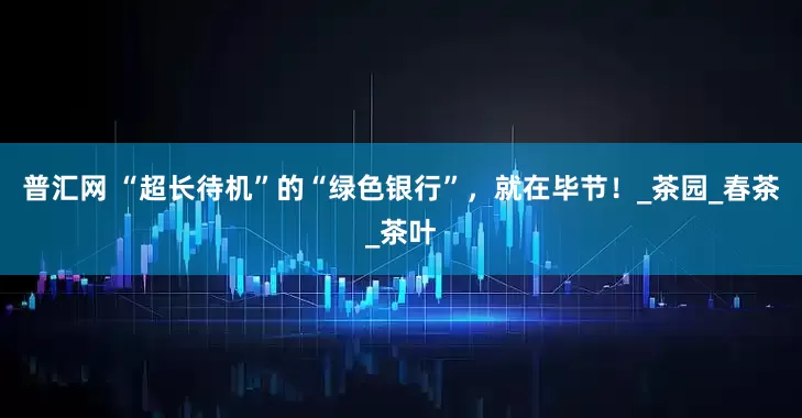 普汇网 “超长待机”的“绿色银行”，就在毕节！_茶园_春茶_茶叶