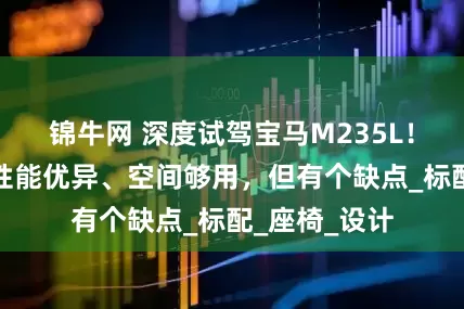 锦牛网 深度试驾宝马M235L!外观抢眼、性能优异、空间够用,但有个缺点_标配_座椅_设计