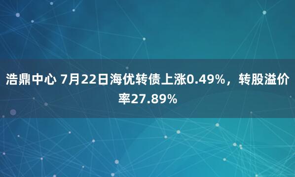 浩鼎中心 7月22日海优转债上涨0.49%，转股溢价率27.89%