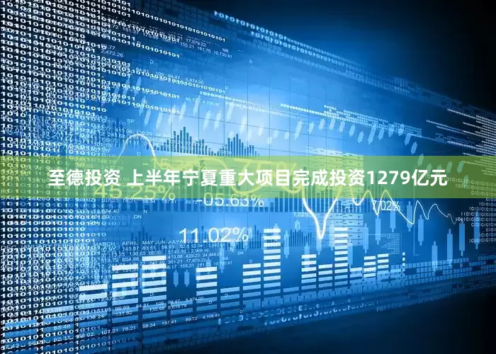 至德投资 上半年宁夏重大项目完成投资1279亿元