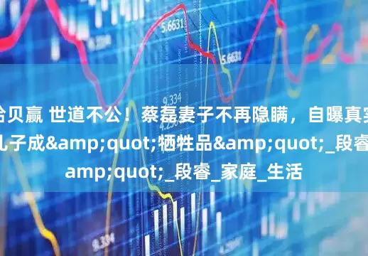 拾贝赢 世道不公！蔡磊妻子不再隐瞒，自曝真实处境，6岁儿子成"牺牲品"_段睿_家庭_生活