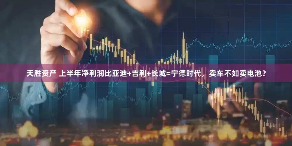 天胜资产 上半年净利润比亚迪+吉利+长城≈宁德时代，卖车不如卖电池？