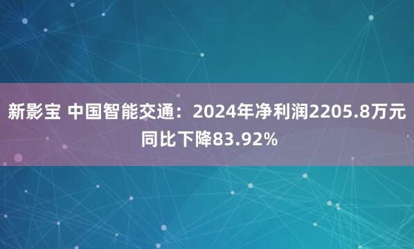 新影宝 中国智能交通：2024年净利润2205.8万元 同比下降83.92%