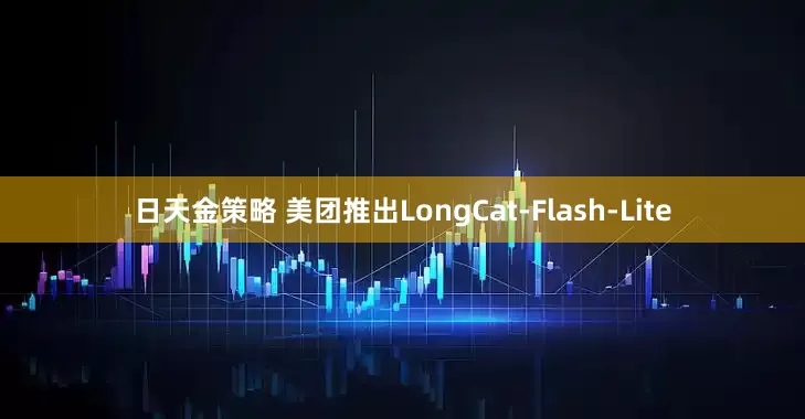 日天金策略 美团推出LongCat-Flash-Lite